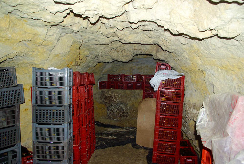 Caves de tuffeau pour le vieillissement des vins tranquilles en bouteilles.