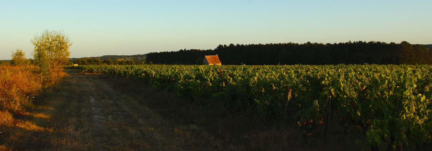 Loge de vigne typique de la Touraine